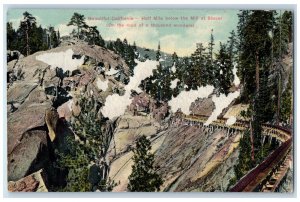 Beautiful California Half Mile Below The Mill Trees Mountain At Shaver Postcard