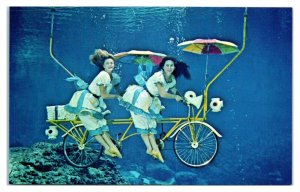 Weeki Wachee Mermaids on Bicycle Built for Two, Mermaid Follies Show Postcard