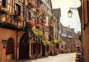 BR16103 Les vieilles maisons dleuries de la grand rue Riquewihr   france