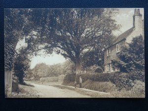 Kent TENTERDEN Rye Road showing BOY & MAN BY LARGE TREE Old Postcard A. Ridley