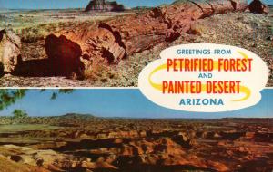 Arizona, Petrified Forest and Painted Desert