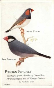 Capern's Perfectly Clean Bird Foods Foreign Finches Ad Advertising Vintage PC