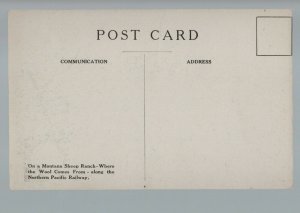Montana c1910 ADVERTISING Sheep Ranch N.P. RR Northern Pacific Railroad Railway