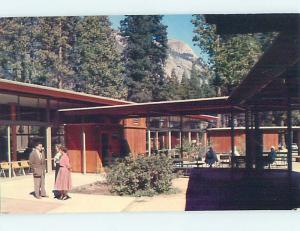 Unused Pre-1980 LODGE SCENE Yosemite National Park California CA J6909-22