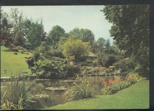 Sussex Postcard - The Rockery, Preston Gardens, Brighton     T1585