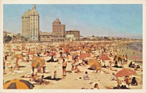 LONG BEACH CALIFORNIA~SECOND LARGEST CITY IN L.A. COUNTY POSTCARD