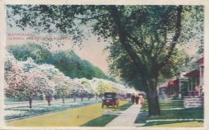 Magnolias, Old Car, Walkers - Oxford Street, Rochester, New York - pm 1913 - WB