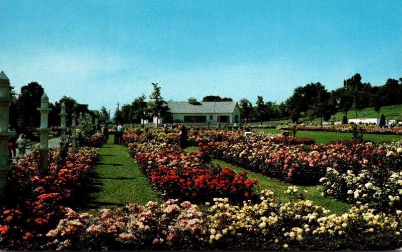 New York Newark Jackson & Perkins Rose Garden General View