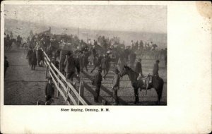 Deming New Mexico NM Steer Roping 1908 Used Postcard