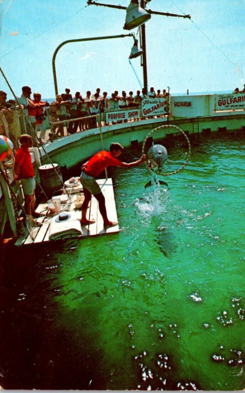 Florida Fort Walton Beach Gulfarium Performing Porpoise 1974