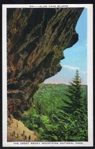 Tennessee Alum Cave Bluffs The Great Smoky Mountains National Park - LINEN