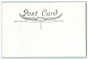 c1910's New Year Birds Formation House And Pine Trees Covered Snow Postcard