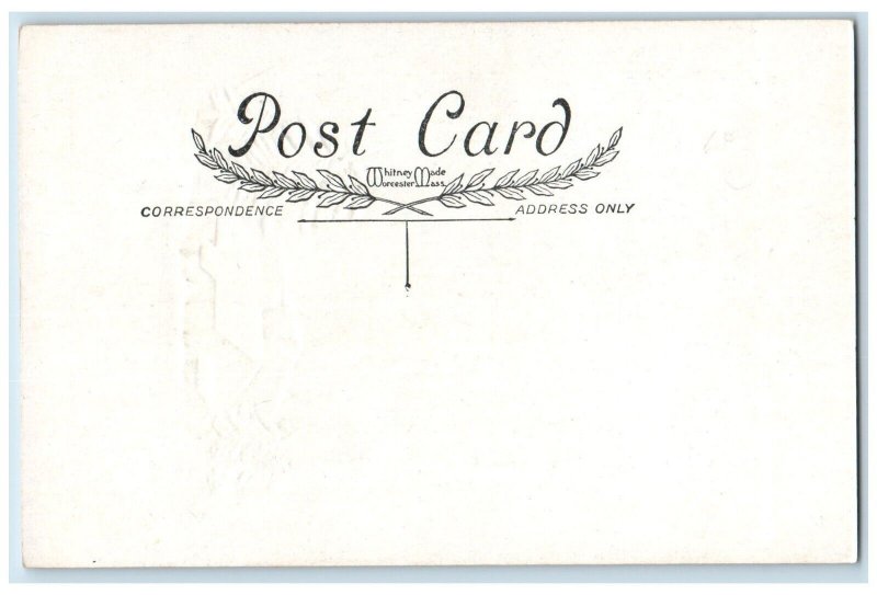 c1910's New Year Birds Formation House And Pine Trees Covered Snow Postcard