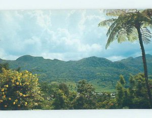 Pre-1980 NATURE SCENE Adjuntas - Near Mayaguez & Ponce Puerto Rico PR AD2891@