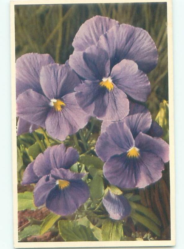 Very Old Foreign Postcard BEAUTIFUL FLOWERS SCENE AA4764