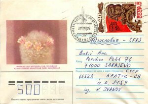 Russia Russia Entier Postal Stationery Cactus Flower