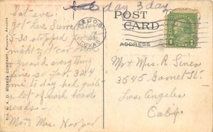 Suhara Cactus Arizona 1929 Postcard Pecos Texas cancel