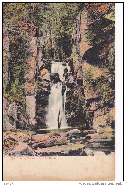 DIXVILLE NOTCH, New Hampshire; The Flume, 00-10s