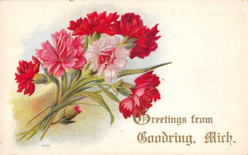 Goodring Michigan Greetings Carnations Antique Postcard J56071