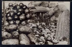 The Way We Welcomed Taft in WA,Exaggerated Vegetables
