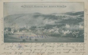 Chelsea Vermont Panoramic View  Business Section 1908 Postcard Used