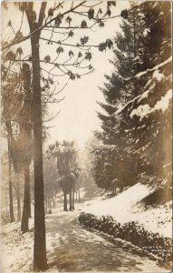 PC NEW ZEALAND, WINTER, DUNEDIN, Vintage REAL PHOTO Postcard (B41512)