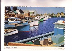 Fishing Boats, Malpeque Cove, Kensington, Prince Edward Island, Used 1979