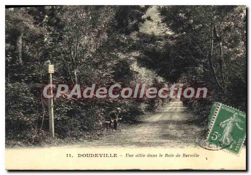 Old Postcard Doudeville A Allee In The Wood Berville