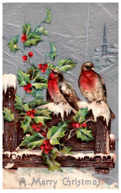 Christmas , Birds in winter