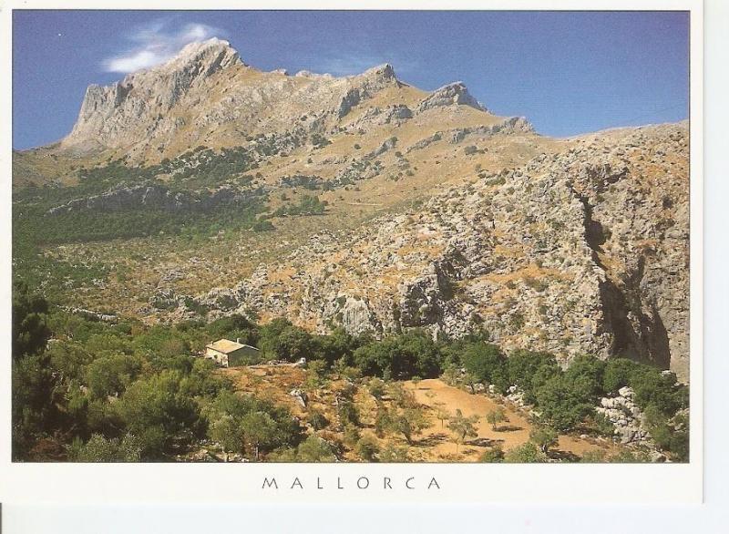 Postal 043608 : Mallorca. Puig Mayor