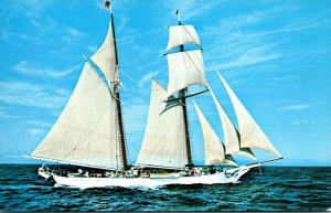 Ships Square Topsail Schooner Shenandoah