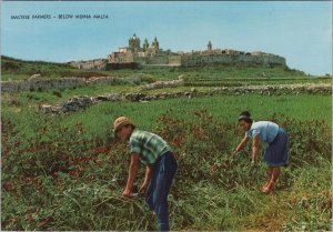 Farming Postcard - Maltese Farmers Below Mdina Malta   RR23282