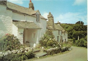 Cornwall Postcard - Old Cottages at Boscastle - Ref TZ5296