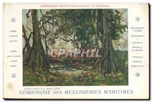 Old Postcard Boat Company Messageries Maritimes Genevriers giant country Kiku...