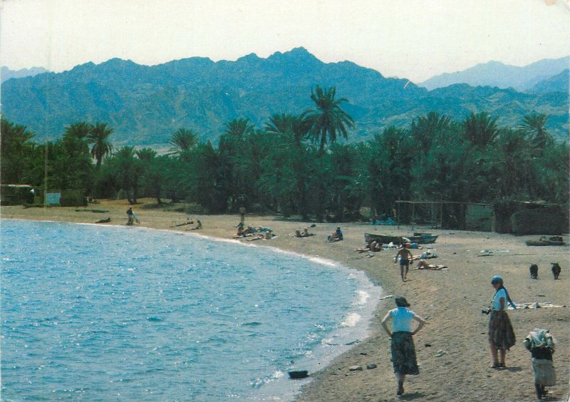 Egypt Dahab Sinai Bedouin Village Postcard