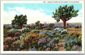 California CA, Joshua Palms On The Desert, Flowers & Trees, Vintage Postcard