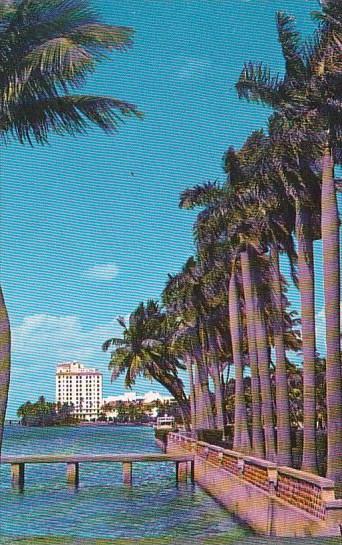 Florida Palm Beach Looking Along Lake Worth Toward The Flagler Museum