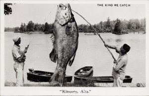 Kitscoty Alberta Giant Fish Exaggeration Fishermen Fishing RPPC Postcard G67