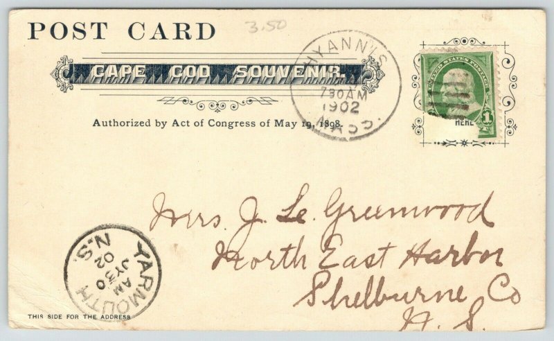 Hyannis Cape Cod MA~Homes & Skyline from Normal School~Observation Tower~1902 