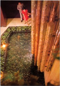 Spring of Happiness at Royal Hotel Osaka Japan 1960s Postcard