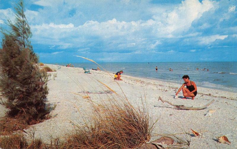 SANIBEL & CAPTIVA ISLANDS FLORIDA SHELLING & SWIMMING ON BEACH POSTCARD 1960s