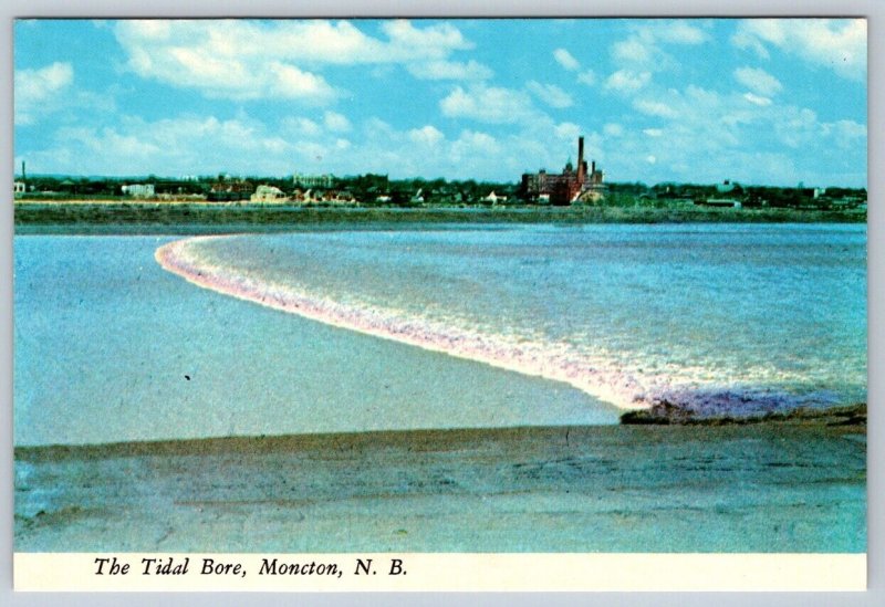 Tidal Bore, Petitcodiac River, Moncton, New Brunswick, Chrome Postcard