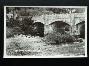 BUCKFASTLEIGH Dart Bridge & HUNTING HOUNDS c1950s RP Postcard by K.E. Ruth