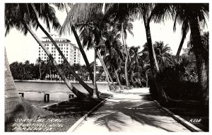 RPPC Postcard South Lake Trail & Whitehall Hotel Palm Beach Florida