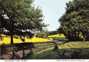 Featherbed Lane Feldon Green Rare Herts Hertfordshire Womens Institute Postcard