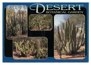 AZ - Phoenix. Desert Botanical Garden      (continental size)