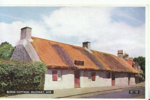 Scotland Postcard - Burns Cottage - Alloway - Ayrshire - Ref TZ4339