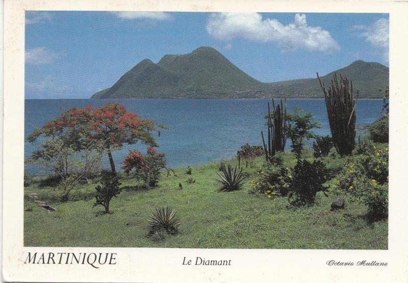 BF28191 le diamant  martinique  caribbean islands  front/back image