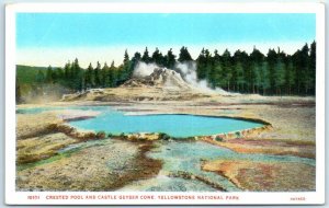 M-36065 Crested Pool and Castle Geyser Cone Yellowstone National Park Wyoming