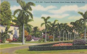 Palm Trees Typical Residential Street Scene Miami Beach Florida Curteich
